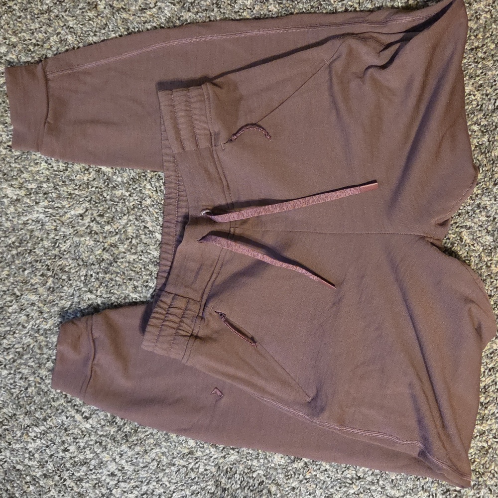 Ridge Merino Hyde Joggers. 100% Wool.